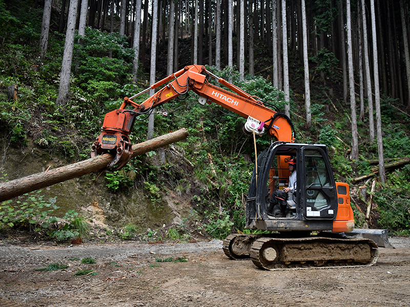林産（素材生産）