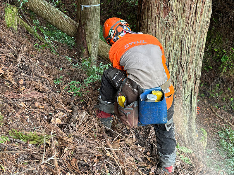林産（素材生産）