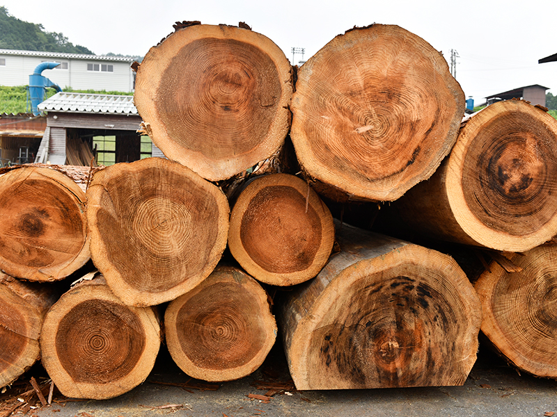 木材加工（木材製品・建築用材・木材乾燥など）